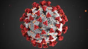 Immagine: coronavirus